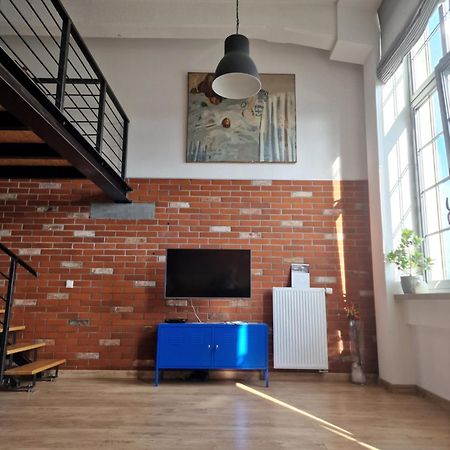 Loft Hiellego Apartment Zyrardow Ngoại thất bức ảnh