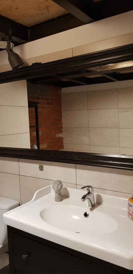 Loft Hiellego Apartment Zyrardow Ngoại thất bức ảnh
