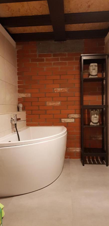Loft Hiellego Apartment Zyrardow Ngoại thất bức ảnh