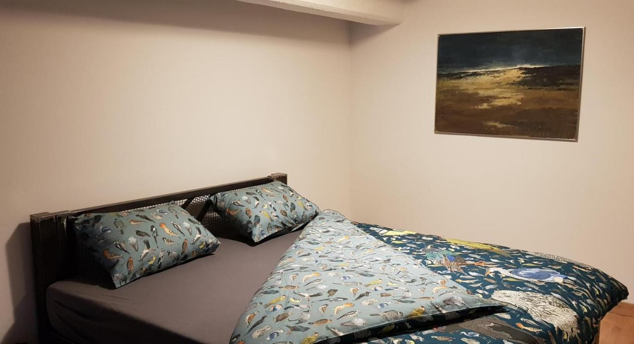 Loft Hiellego Apartment Zyrardow Ngoại thất bức ảnh