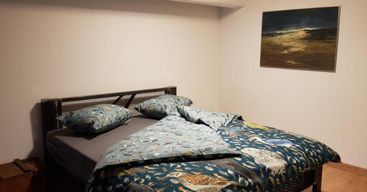 Loft Hiellego Apartment Zyrardow Ngoại thất bức ảnh