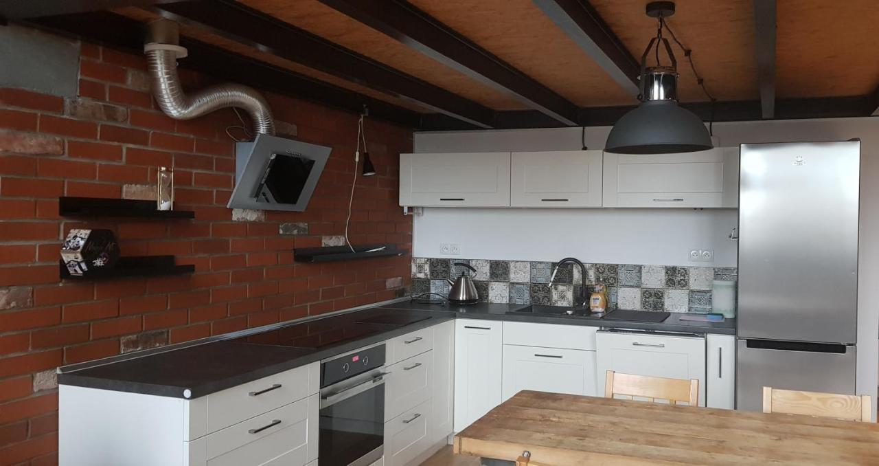 Loft Hiellego Apartment Zyrardow Ngoại thất bức ảnh